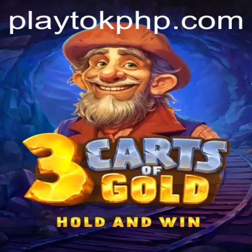 PlayTok Casino App