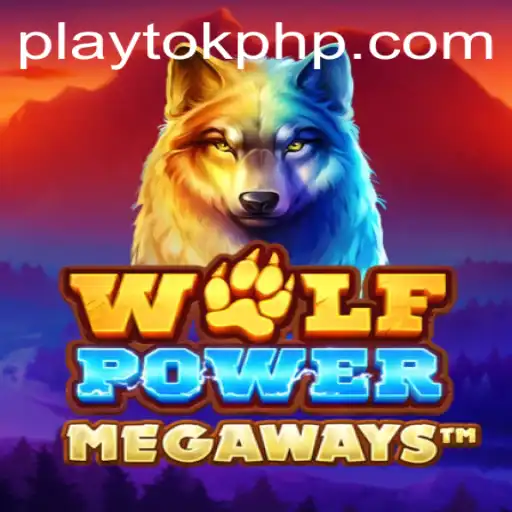PlayTok Casino App